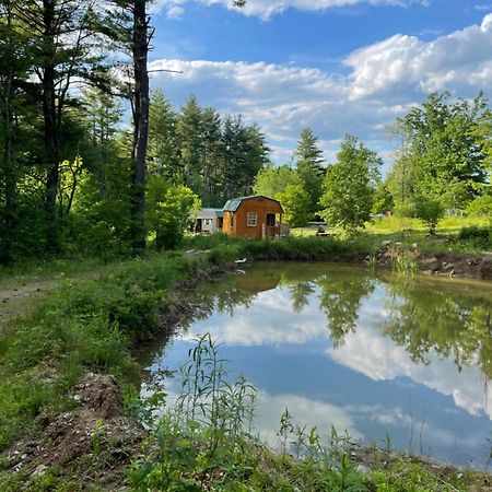 The Hideaway Tiny Cabin East Durham Ngoại thất bức ảnh
