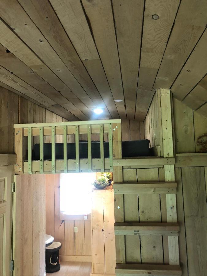 The Hideaway Tiny Cabin East Durham Ngoại thất bức ảnh